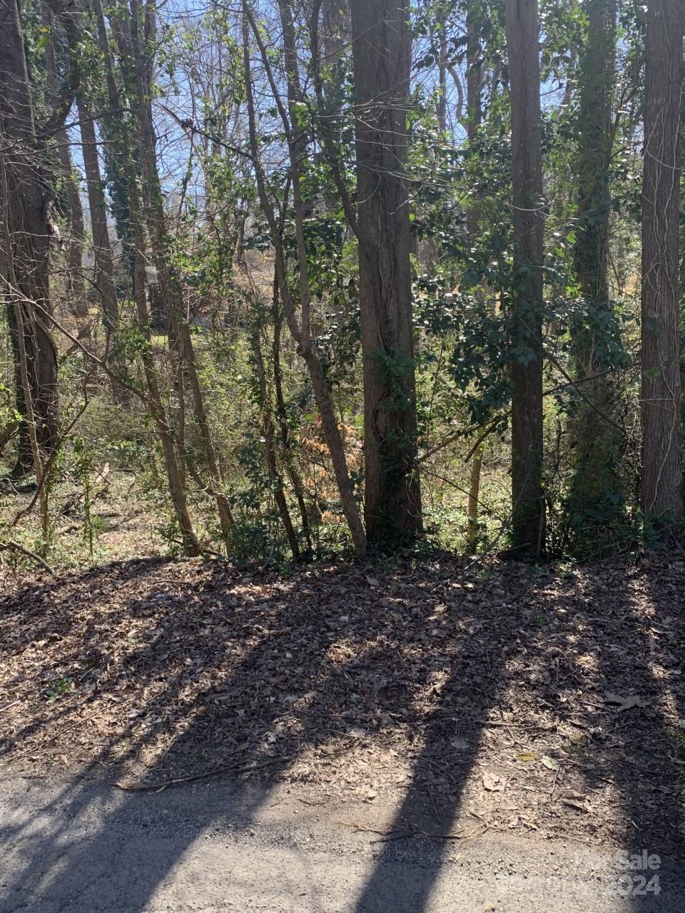 Property image 2 of 1062 Orchard Court in Old Orchard, Fort Mill, SC 29715
