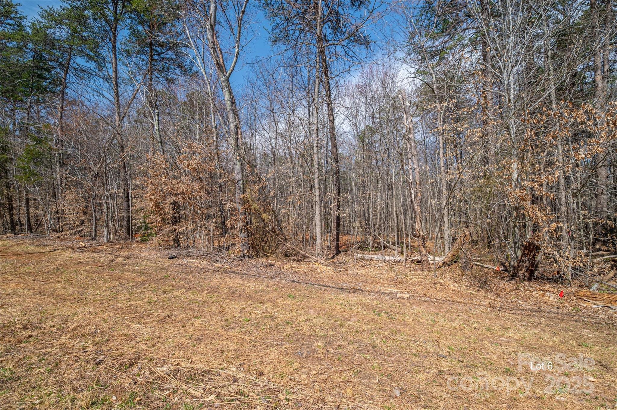 Property image 4 of 00 Forney Hill Road in The Oaks at Forney Hill, Denver, NC 28037