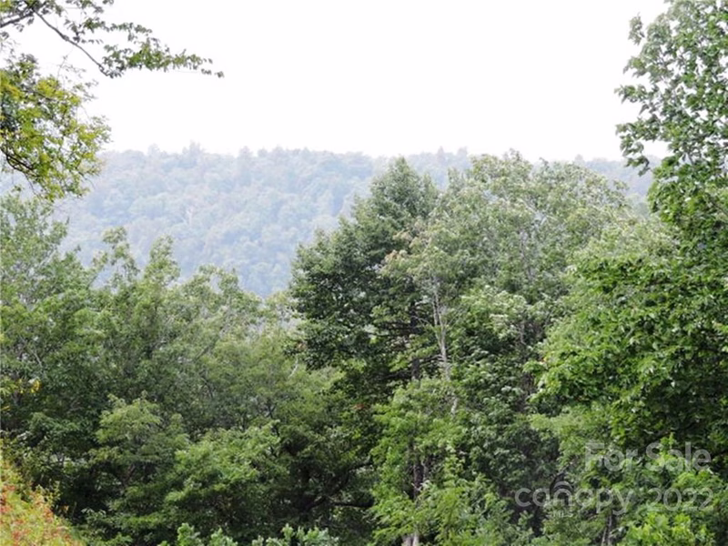 Property image 3 at 0 Rainbow Trout Drive, Spruce Pine, NC 28749