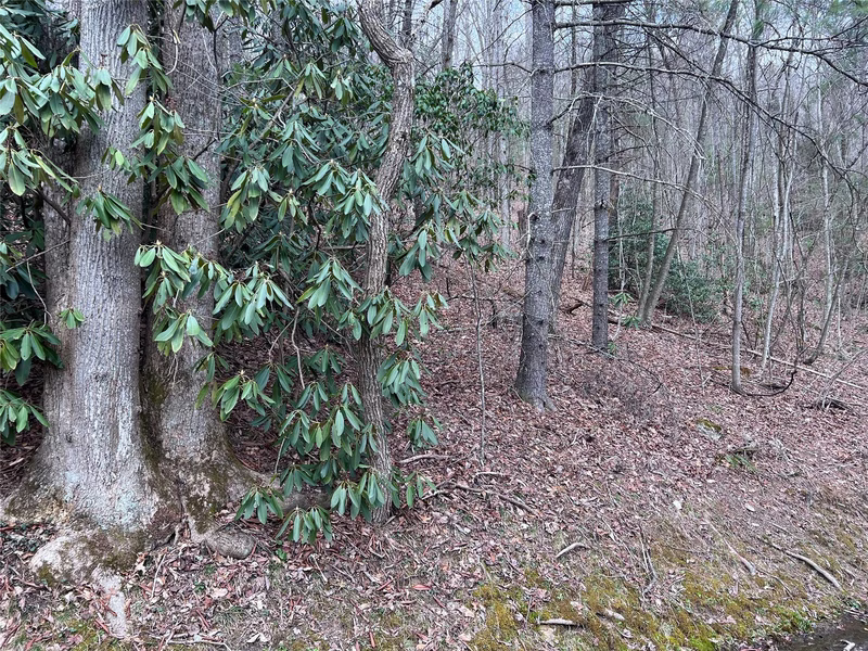Property image 2 at 00 Lake View Road, Spruce Pine, NC 28777