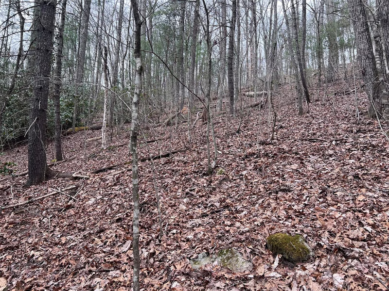 Property image 3 at 00 Lake View Road, Spruce Pine, NC 28777