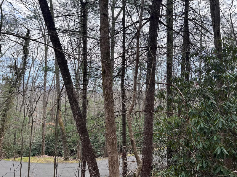 Property image 4 at 00 Lake View Road, Spruce Pine, NC 28777