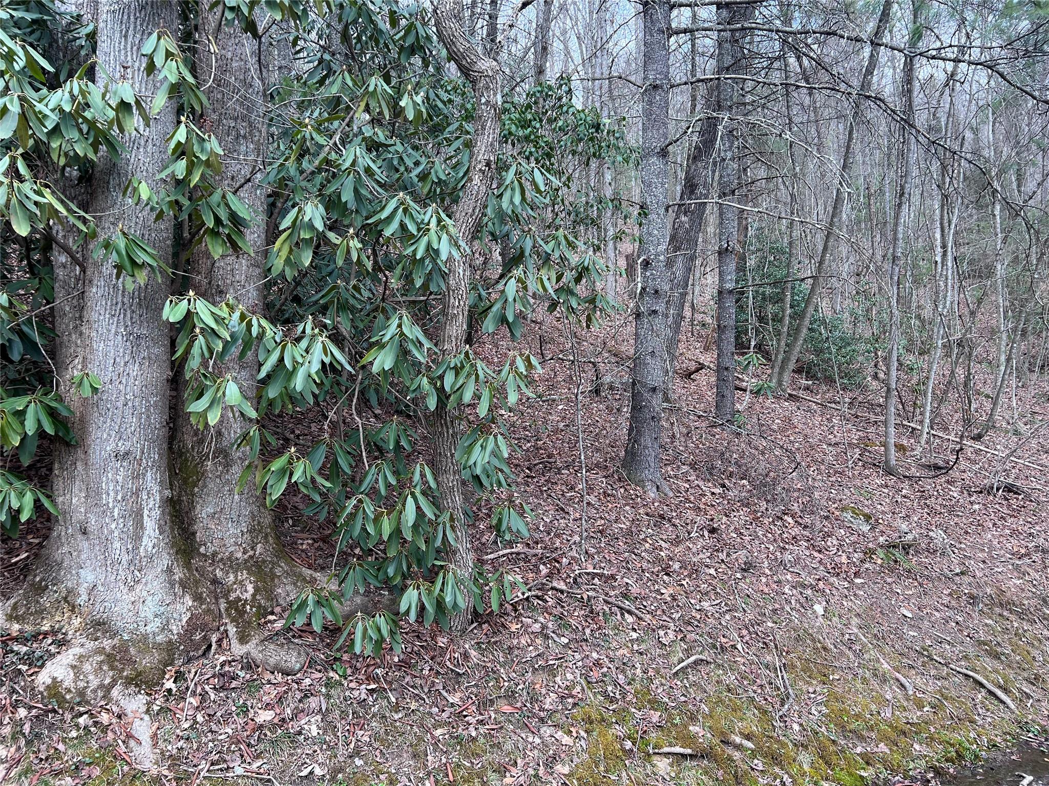 Property image 2 of 00 Lake View Road in Swiss Pine Lake, Spruce Pine, NC 28777