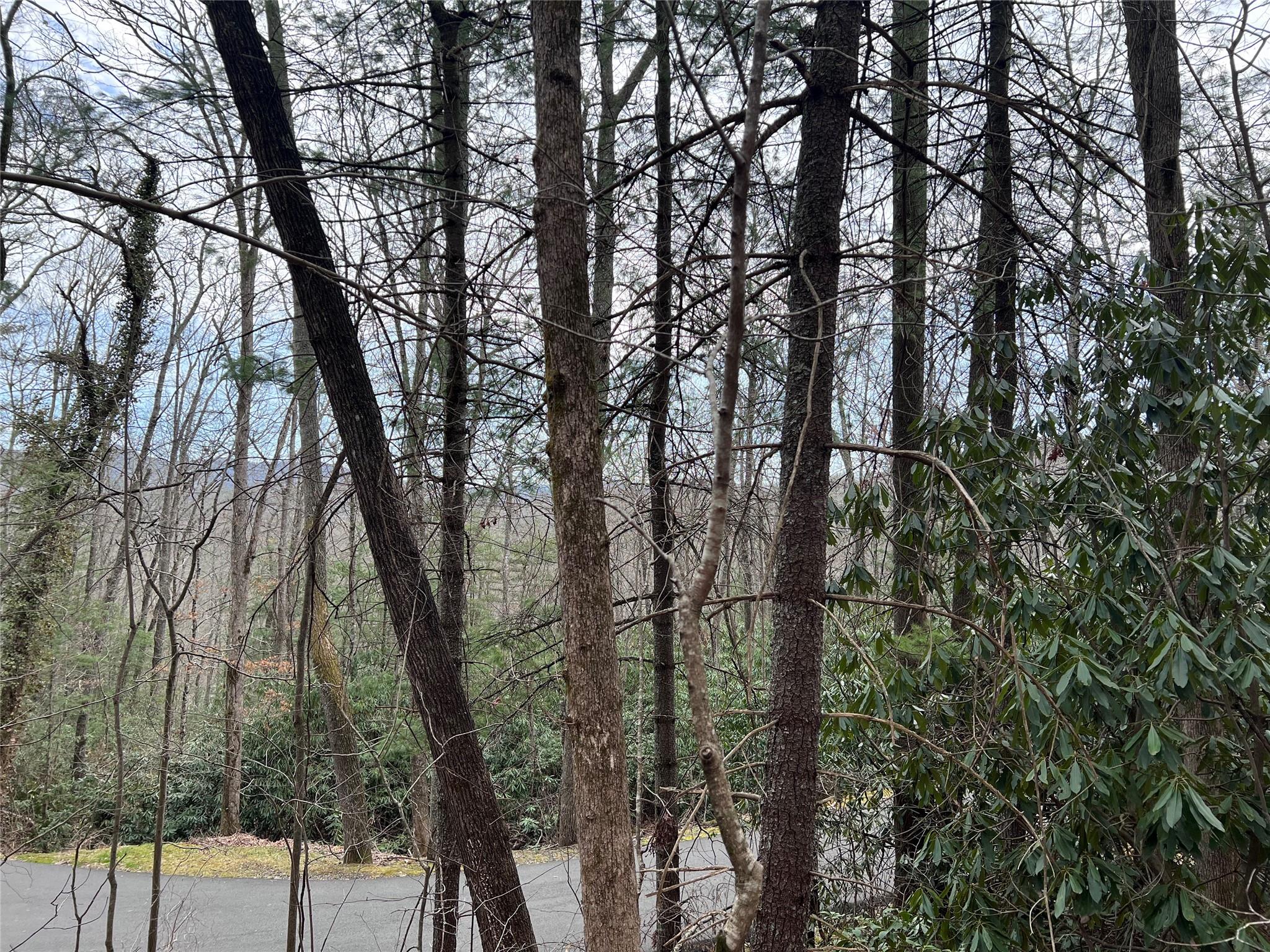 Property image 4 of 00 Lake View Road in Swiss Pine Lake, Spruce Pine, NC 28777
