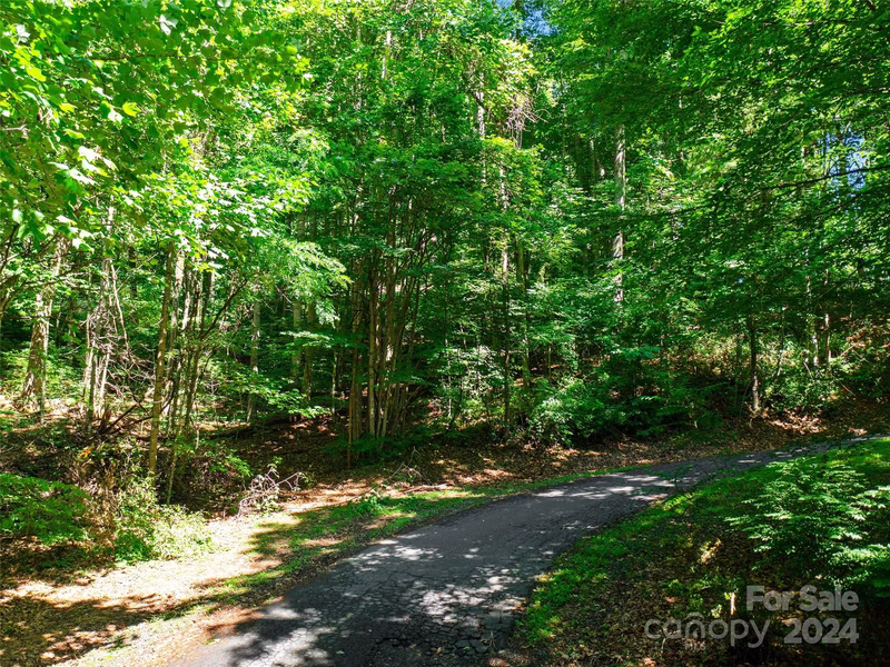 Property image 2 at 000 Lake Park Drive, Burnsville, NC 28714