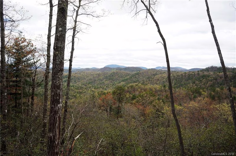 Property image 2 at Tbd Ruffed Grouse Road, Brevard, NC 28712