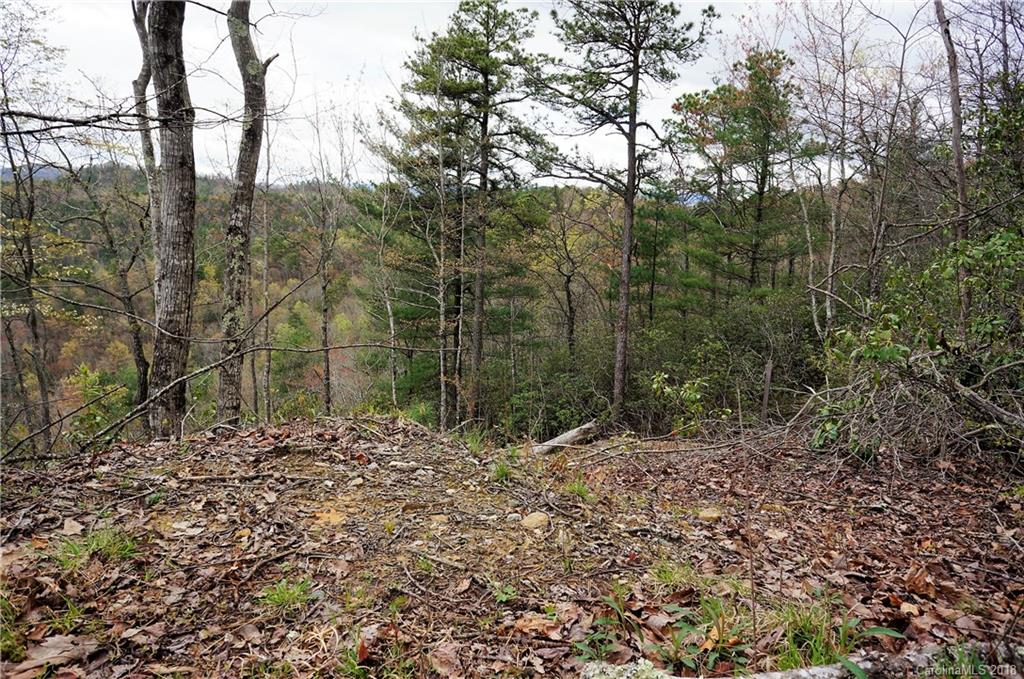 Property image 5 of Tbd Ruffed Grouse Road in Ridge Haven, Brevard, NC 28712