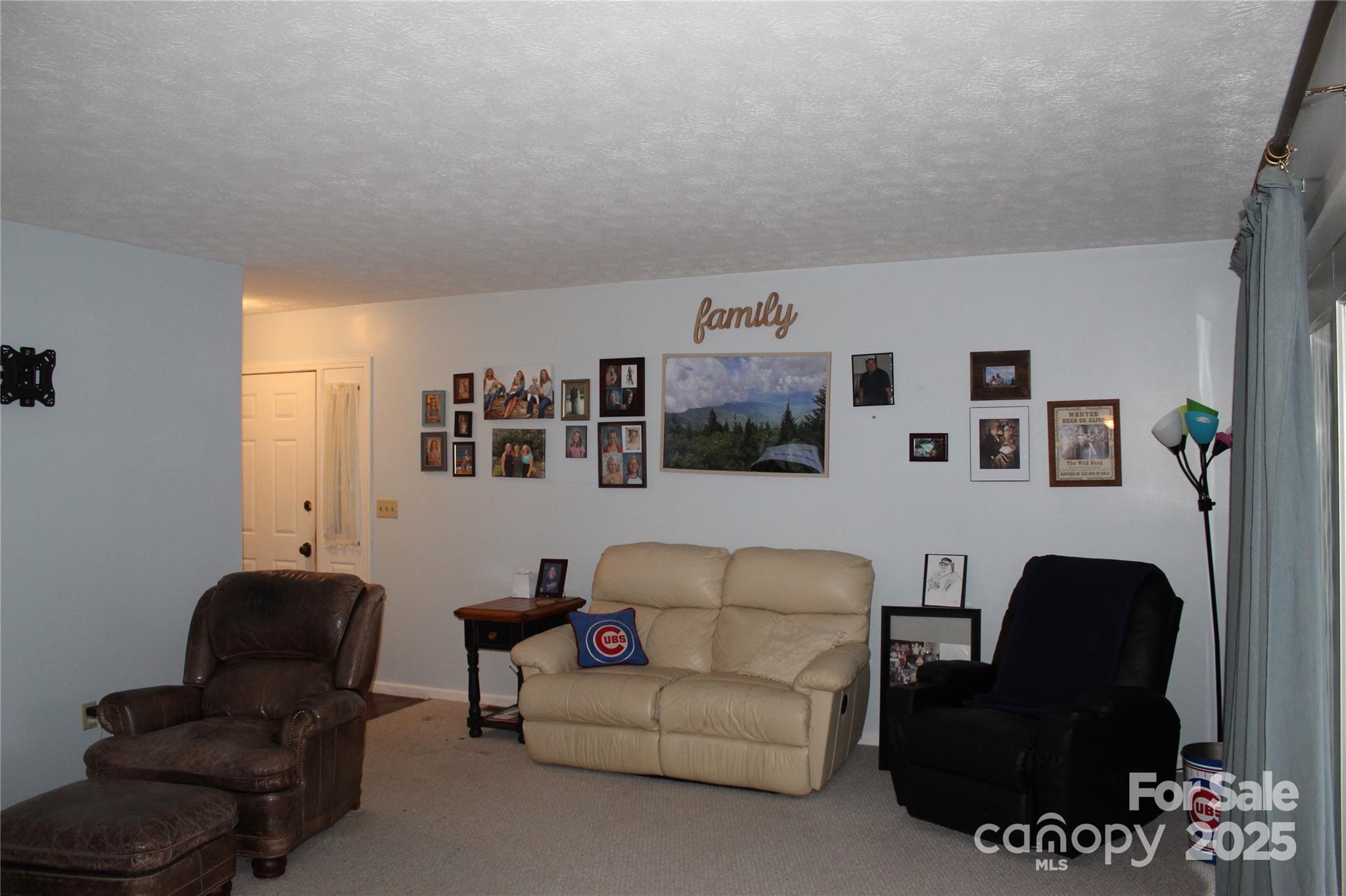Property image 3 of 65 Maxine Lane in The Woods, Hendersonville, NC 28739