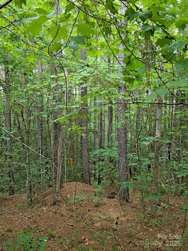 Property image 3 at 6026 Plantation Pointe Drive, Granite Falls, NC 28630