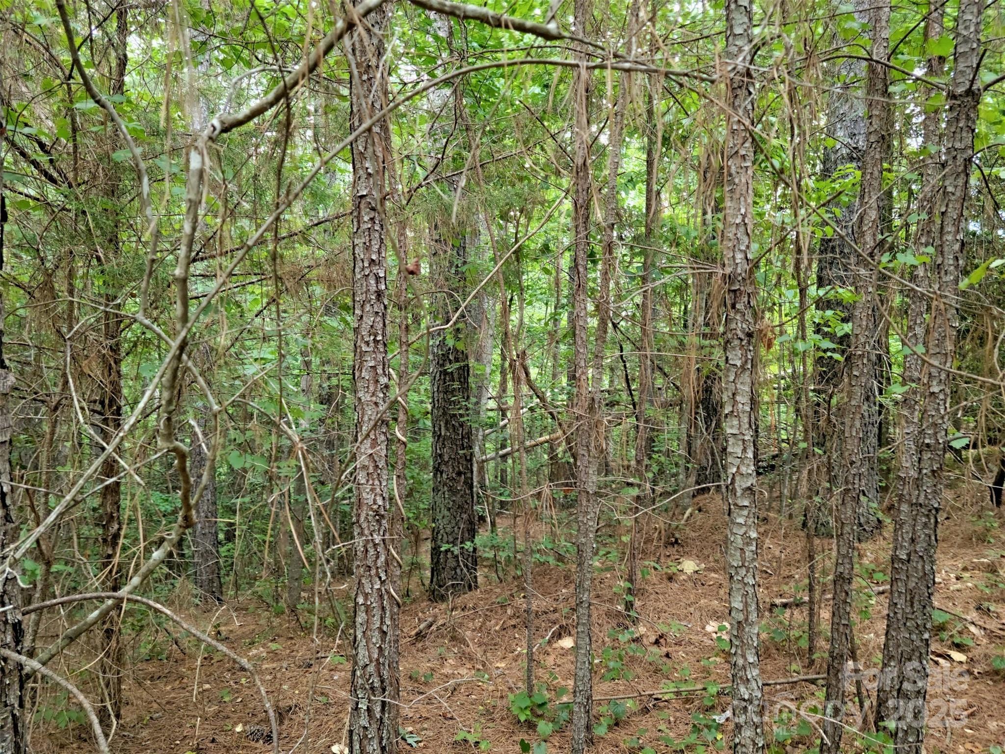 Property image 4 of 6026 Plantation Pointe Drive in Plantation Pointe, Granite Falls, NC 28630