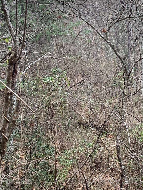 Property image 2 of 0000 Valley Drive in Highland Meadows, Lenoir, NC 28645