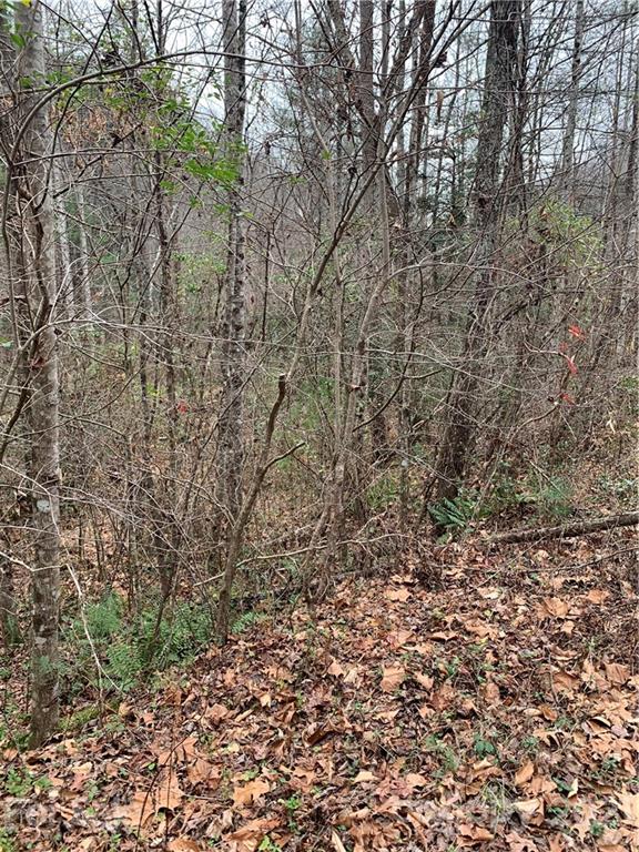 Property image 5 of 0000 Valley Drive in Highland Meadows, Lenoir, NC 28645