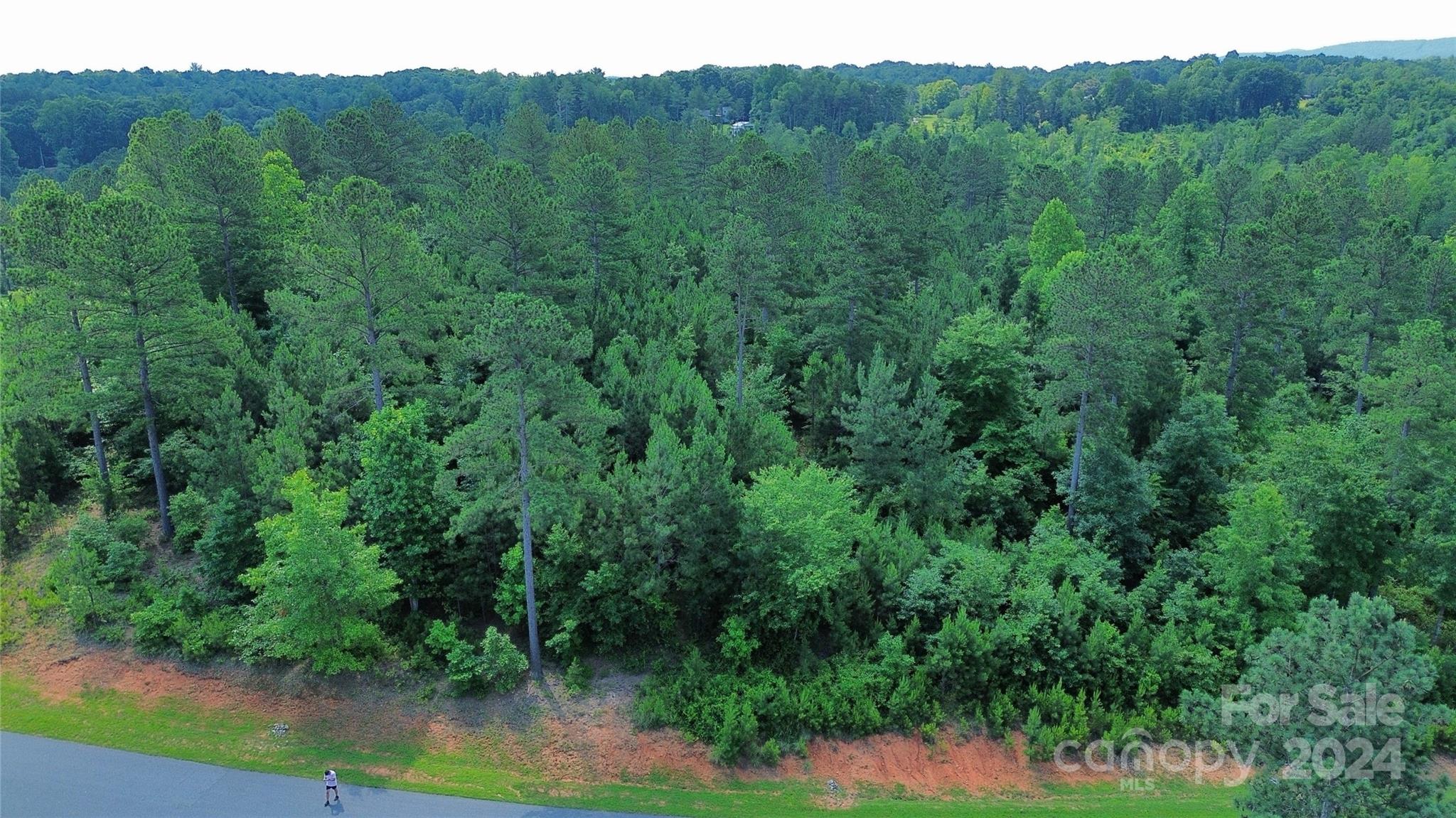 Property image 3 of 1489 Lake Vista Drive in Lake Vista, Connelly Springs, NC 28612