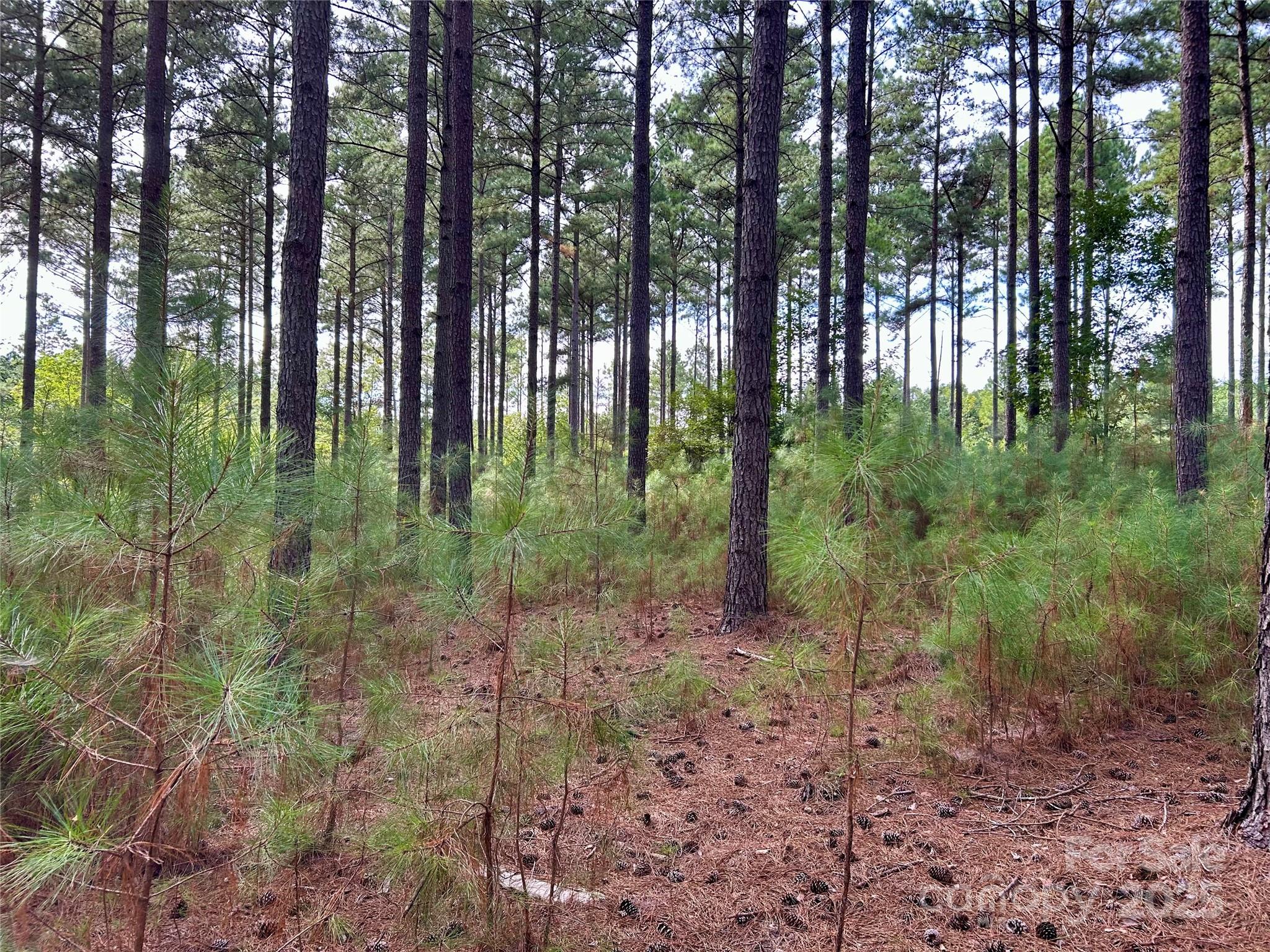 Property image 3 of 224 Plantation Way in Swift Island Plantation, Mount Gilead, NC 27306