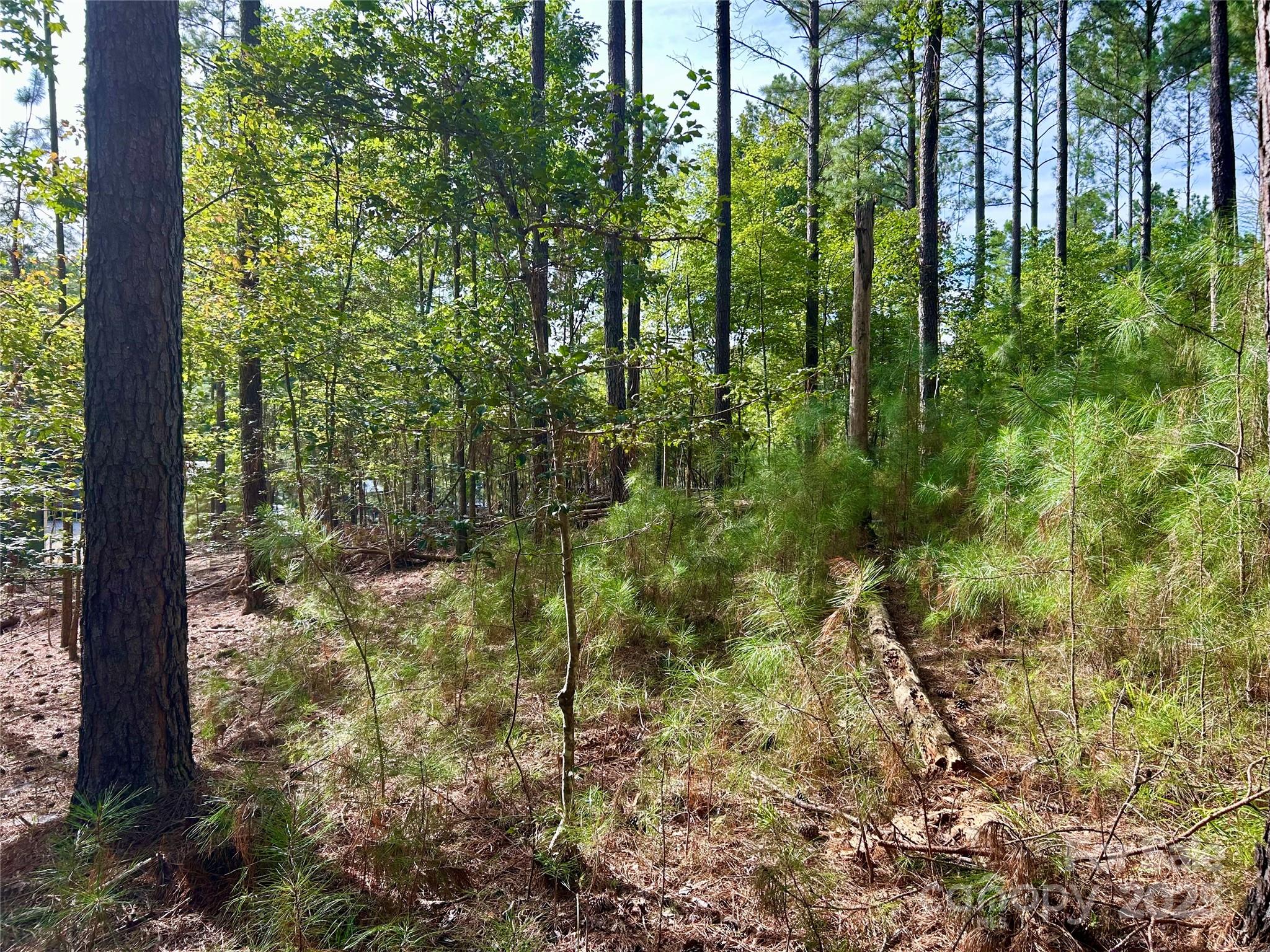 Property image 4 of 224 Plantation Way in Swift Island Plantation, Mount Gilead, NC 27306