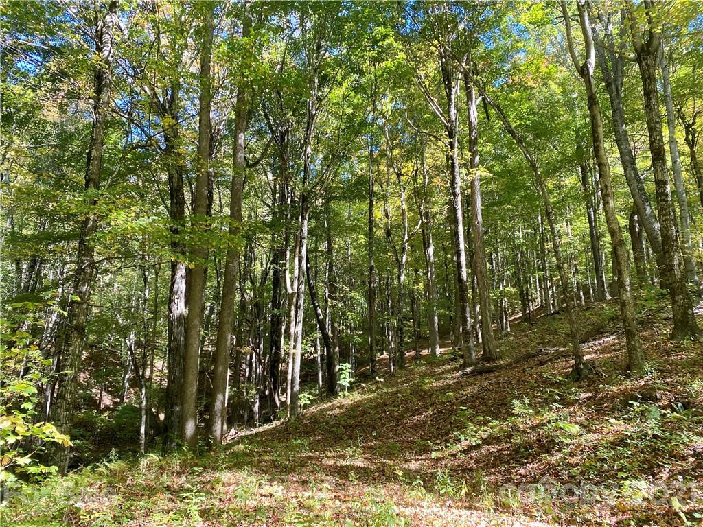 Property image 4 of 50 Bens Bend in Amber Ranches, Bakersville, NC 28705