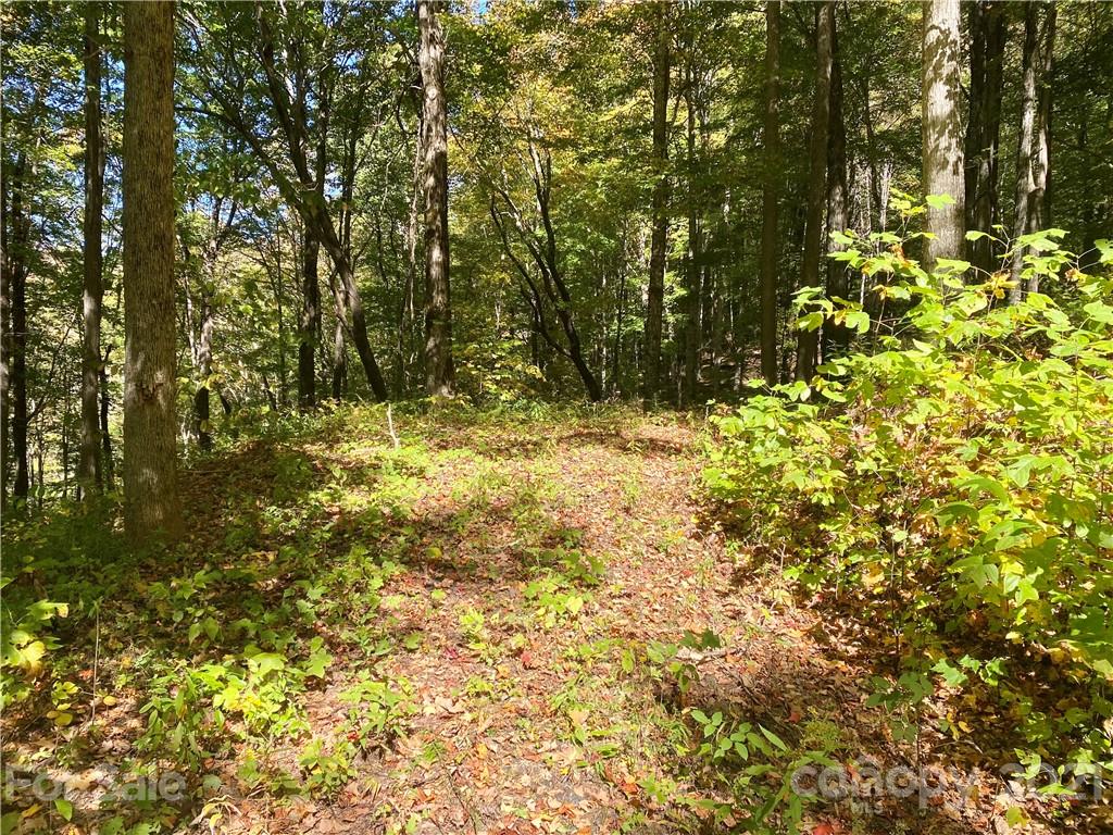 Property image 5 of 50 Bens Bend in Amber Ranches, Bakersville, NC 28705