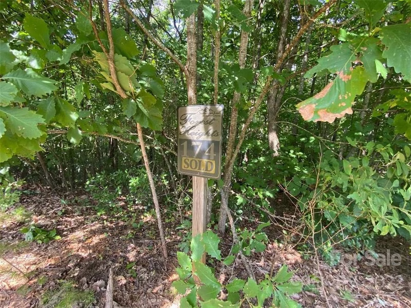 Property image 5 at Lot 174 Black Lark Drive, Marion, NC 28752
