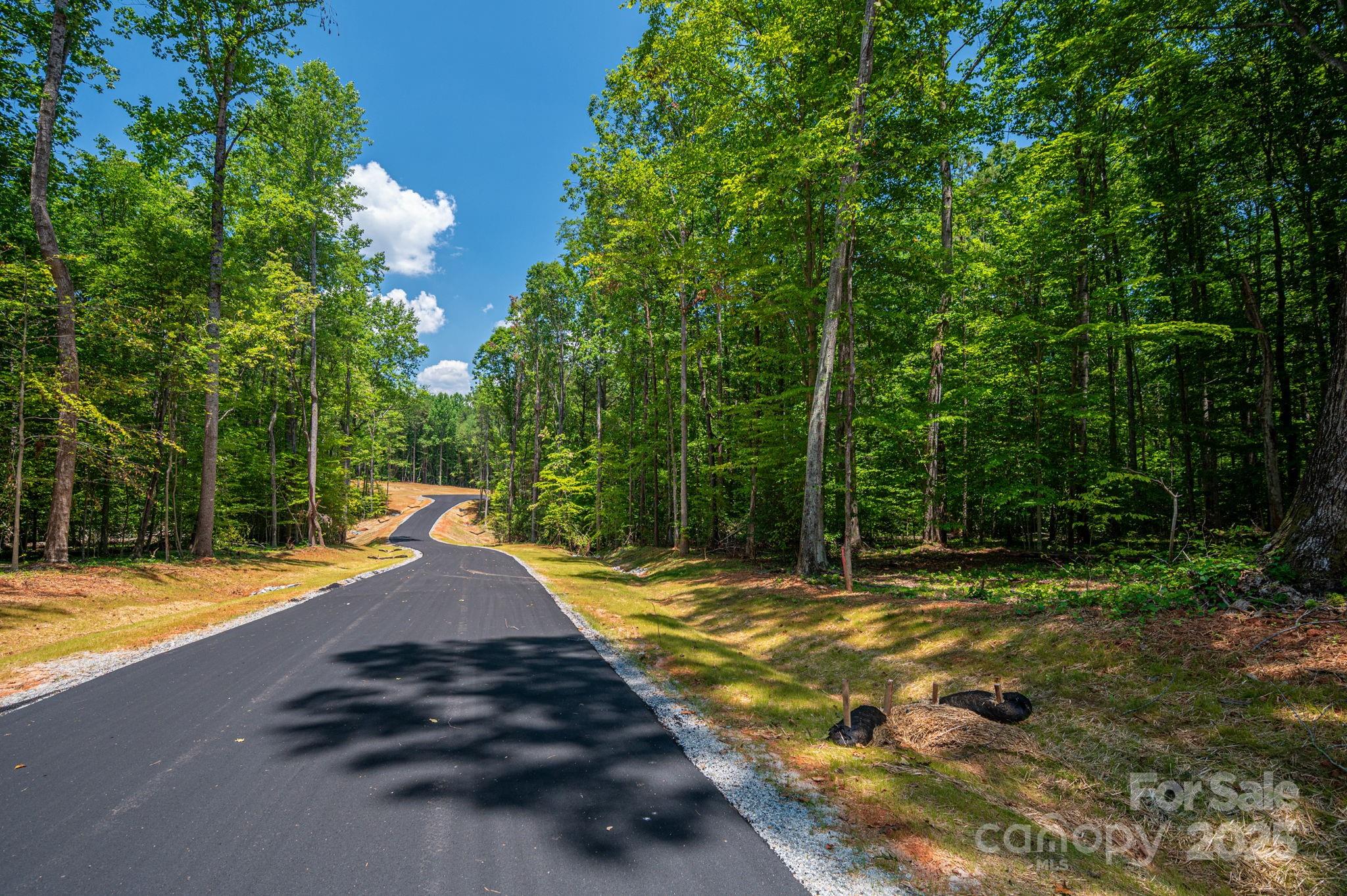 Property image 3 of 00 Oak Hill Court in The Oaks at Forney Hill, Denver, NC 28037