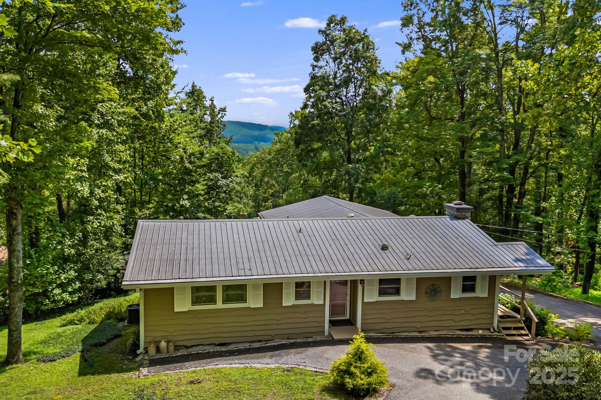 Property image 4 of 20 Ridgeview Road in Swiss Pine Lake, Spruce Pine, NC 28777
