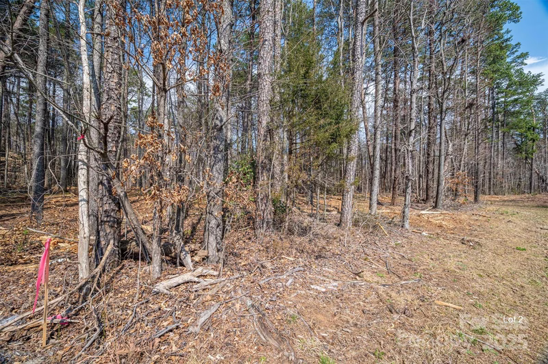 Property image 4 at 00 Forney Hill Road, Denver, NC 28037