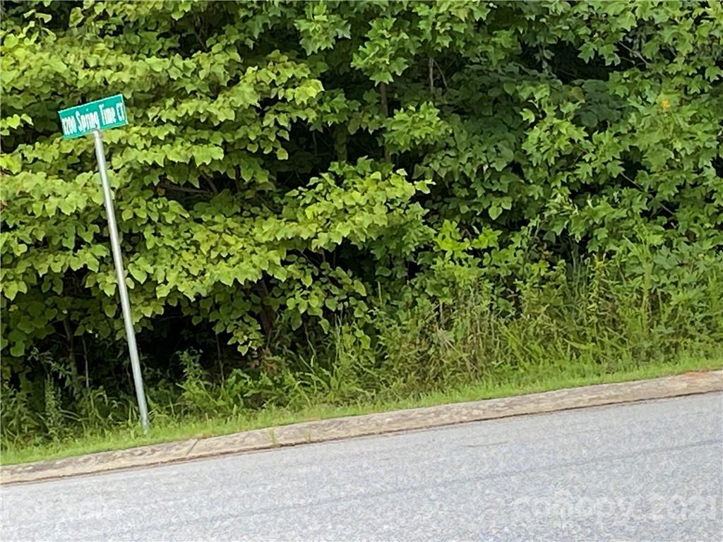 Property image 3 of Lot 2 3 Summerhill Street in Summerhill, Lenoir, NC 28645