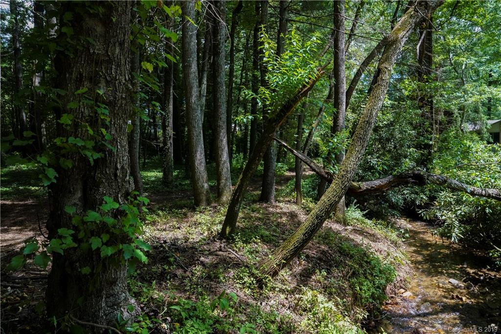 Property image 5 of Lot 17 Camellia Way in Timber Creek, Hendersonville, NC 28739