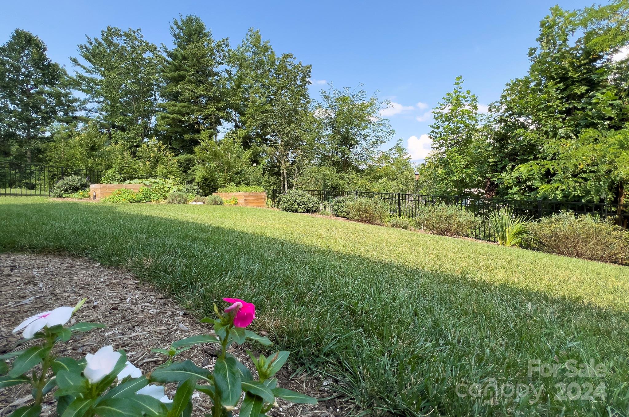 Property image 5 of 265 Hogans View Circle in Hawks Ridge, Hendersonville, NC 28739