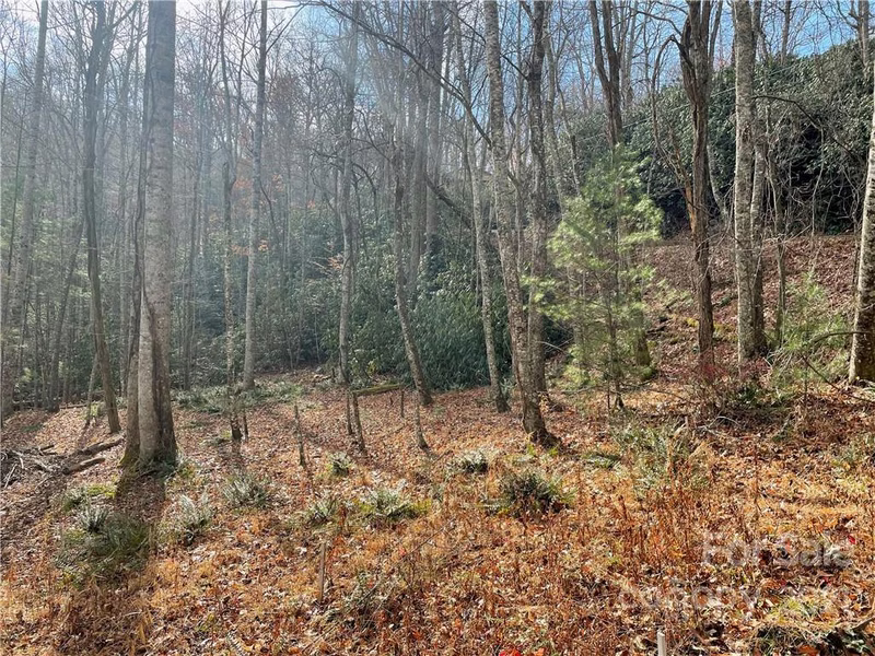 Property image 3 at Tbd Pisgah Forest Drive, Pisgah Forest, NC 28768
