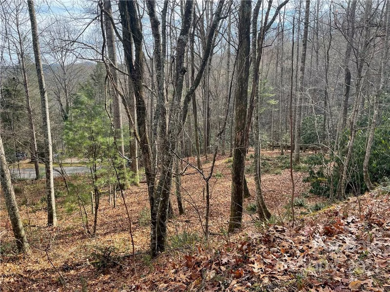 Property image 4 at Tbd Pisgah Forest Drive, Pisgah Forest, NC 28768