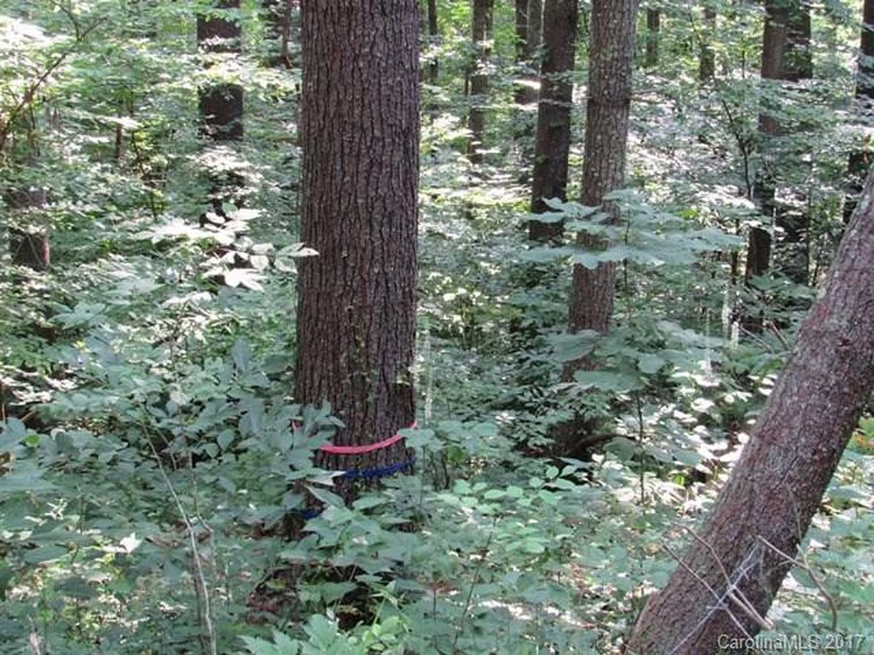 Property image 3 at 0 Reserve Drive, Burnsville, NC 28714