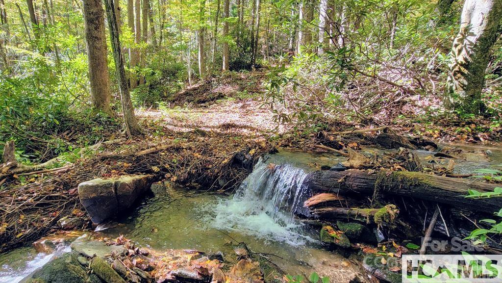 Property image 3 of 117 Speckled Feather Pass in The Divide, Sapphire, NC 28774