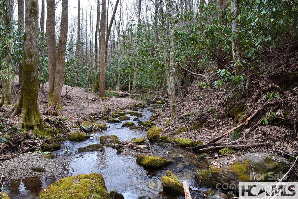 Property image 4 of 117 Speckled Feather Pass in The Divide, Sapphire, NC 28774