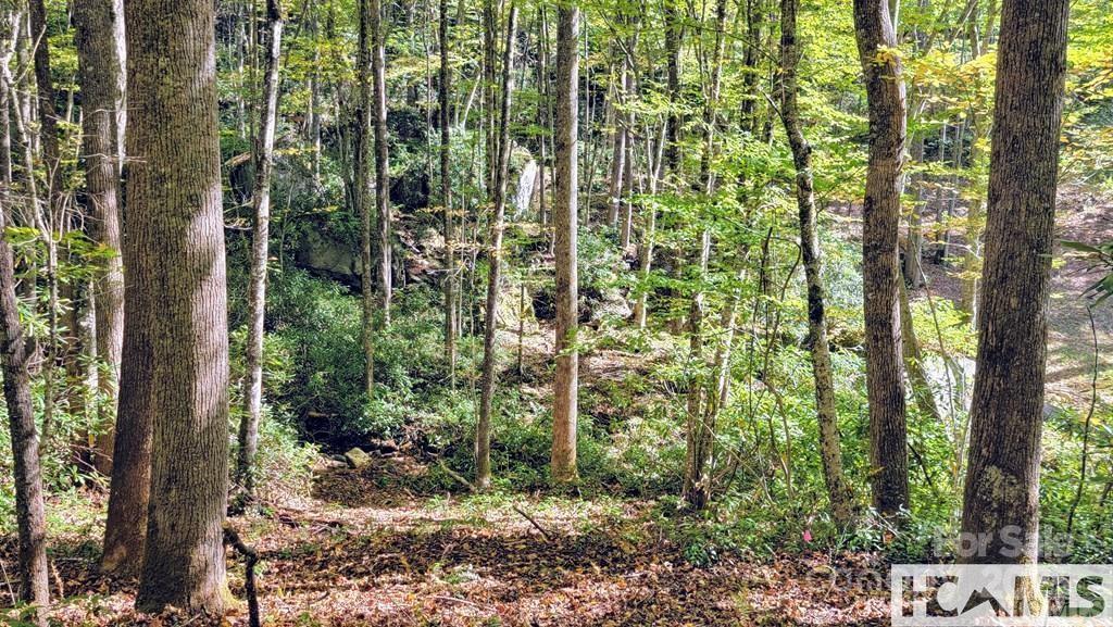Property image 5 of 117 Speckled Feather Pass in The Divide, Sapphire, NC 28774