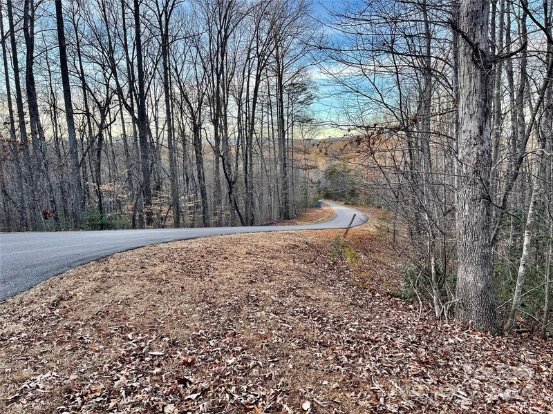 Property image 4 at Lot 79 Big Branch Drive, Marion, NC 28752