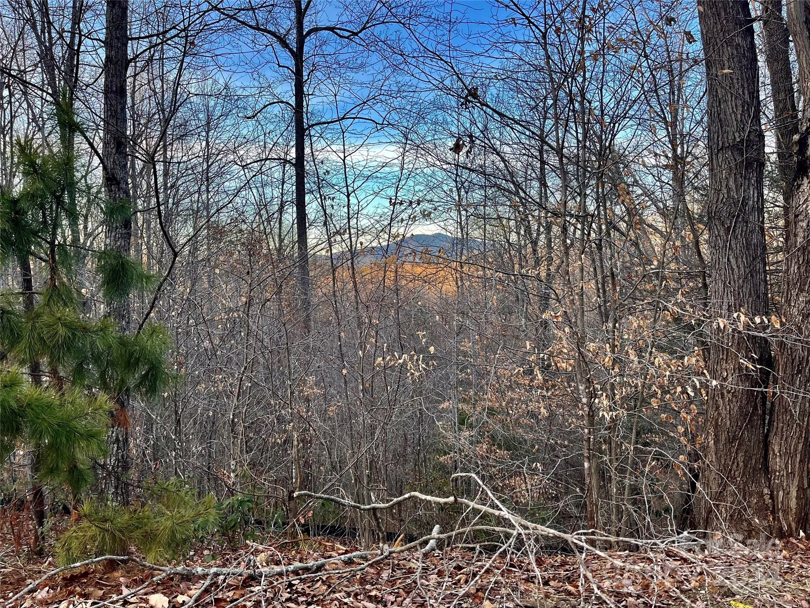 Property image 1 at Lot 79 Big Branch Drive, Marion, NC 28752