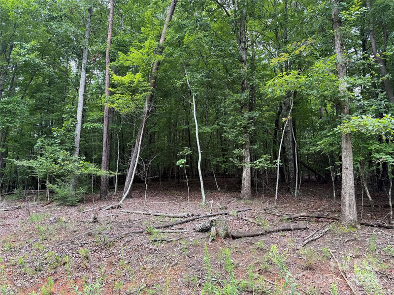 00 Woodchuck Lane