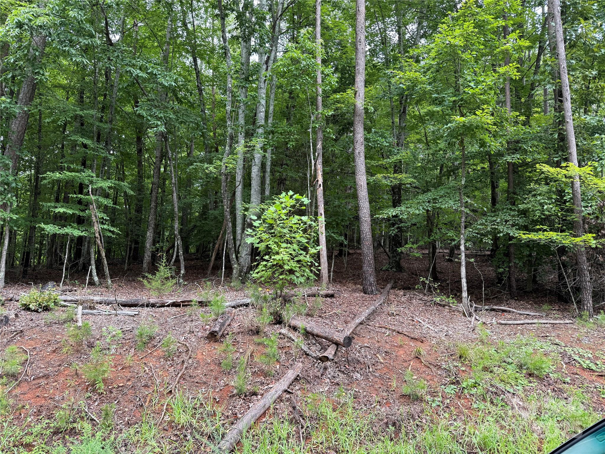 Property image 3 of 00 Woodchuck Lane in Haven Heights, Marion, NC 28752