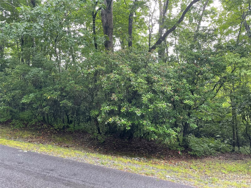 Tbd Tellico Trail