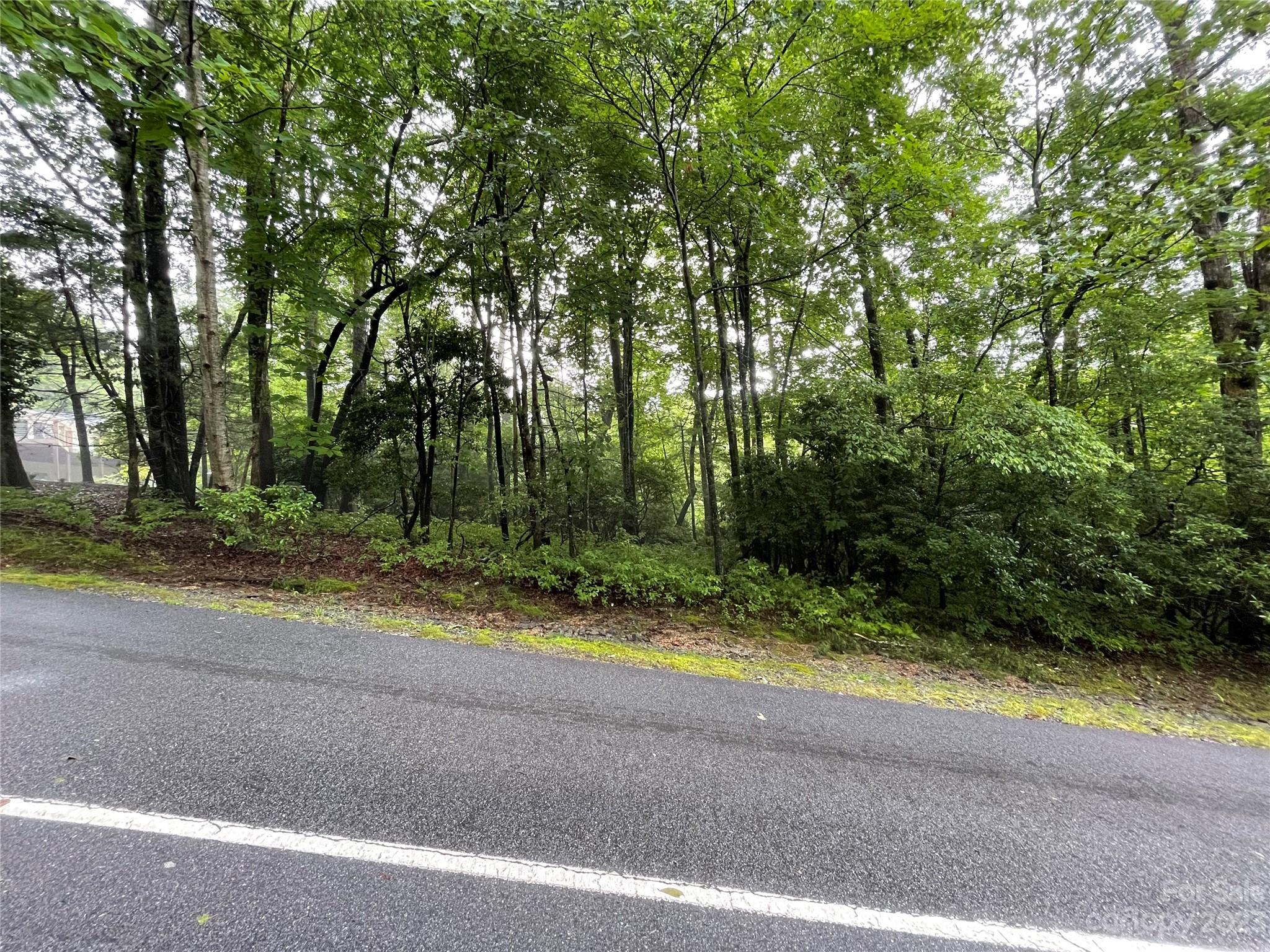 Property image 4 of Tbd Tellico Trail in Connestee Falls, Brevard, NC 28712