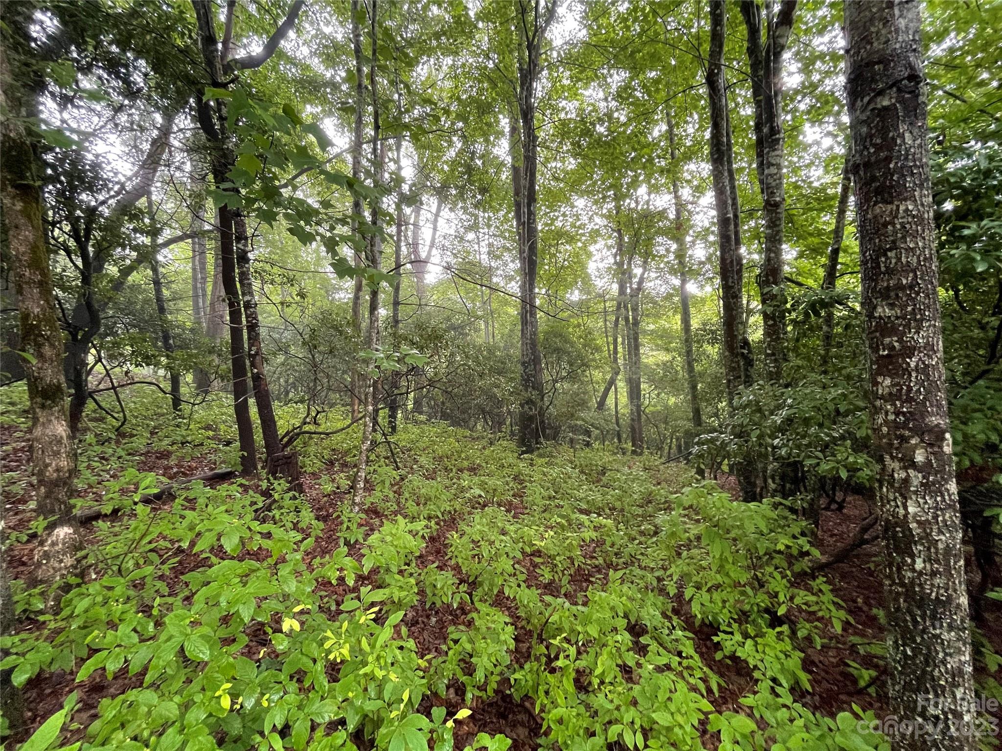 Property image 5 of Tbd Tellico Trail in Connestee Falls, Brevard, NC 28712