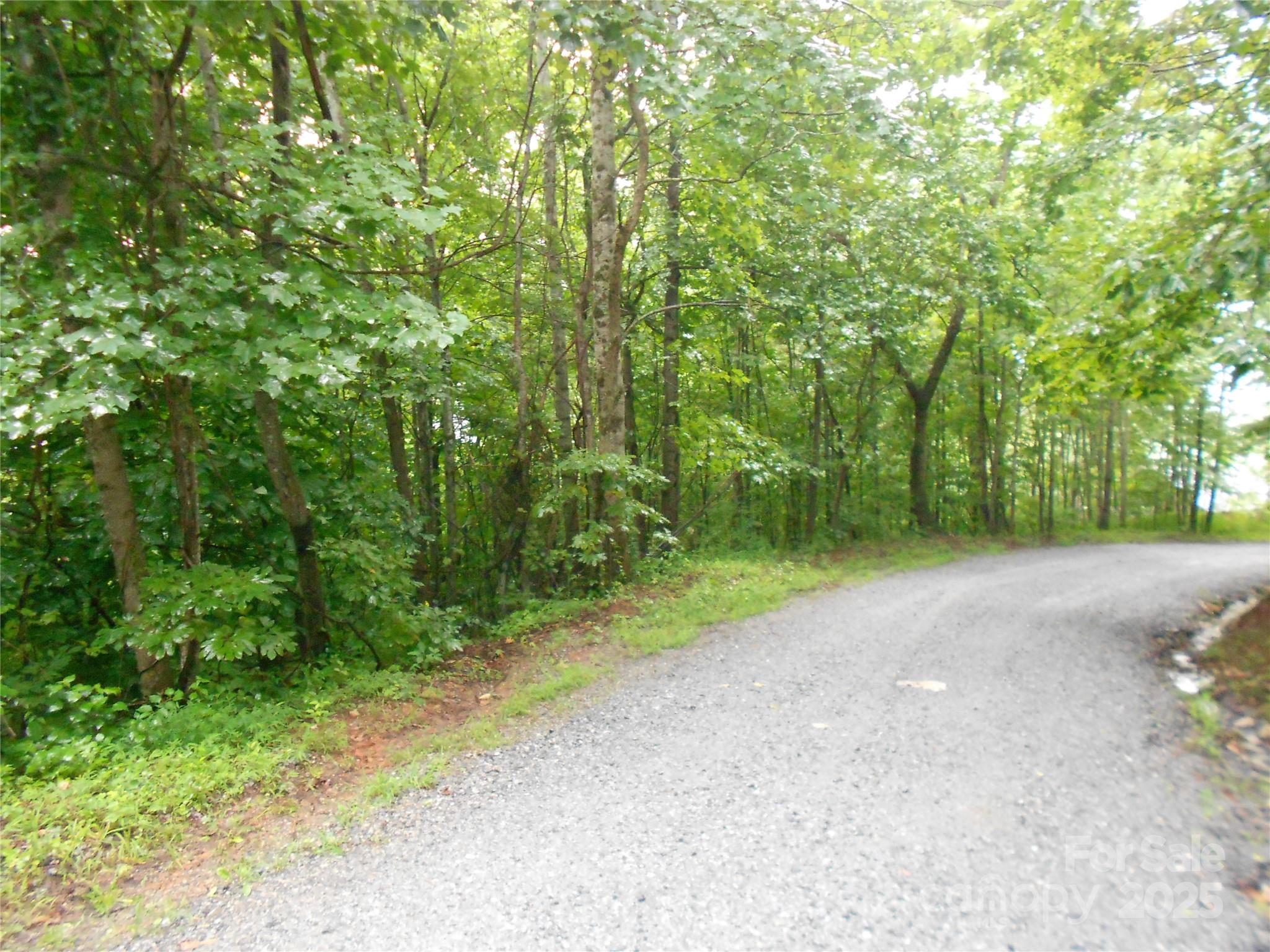 Property image 3 of Tbd Bald Eagle Drive in Stoneridge Estates, Hendersonville, NC 28792
