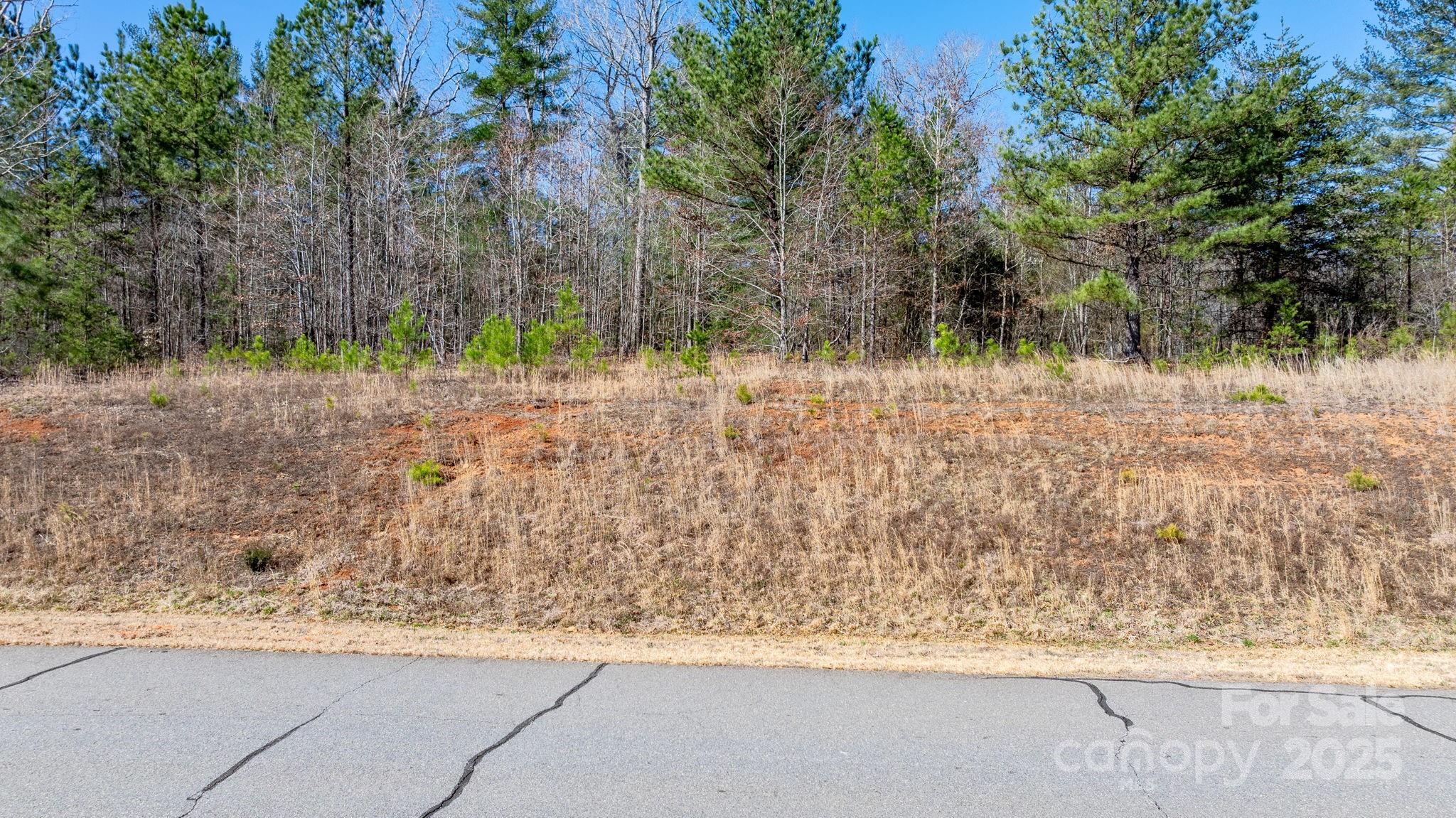 Property image 3 of 5351 Antler Creek Drive in Antler Cove, Granite Falls, NC 28630