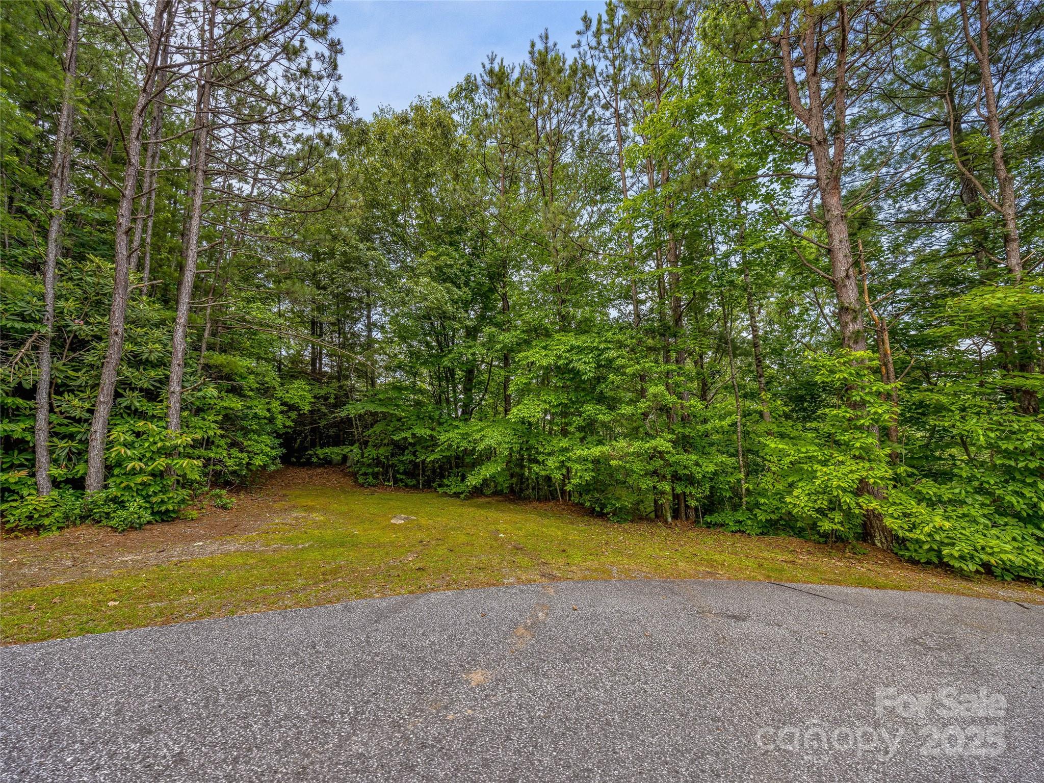 Property image 4 of Lot 33 Morgan Drive in Little River Ranch, Penrose, NC 28766