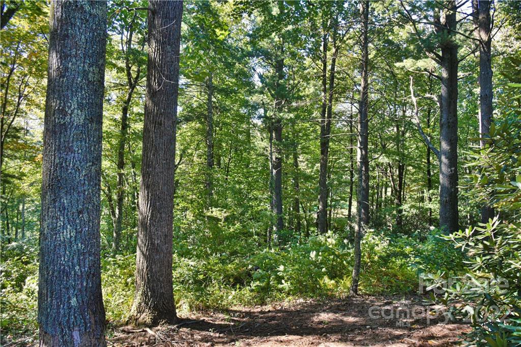Property image 5 of 64 Sunrise Ridge Road in Swiss Pine Lake, Spruce Pine, NC 28777