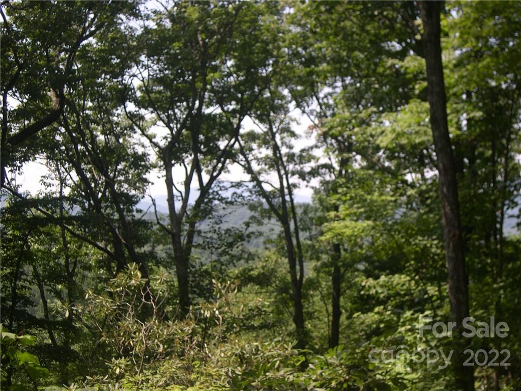 Property image 4 of Tbd Halltown Road in Six Springs Ridge, Spruce Pine, NC 28777
