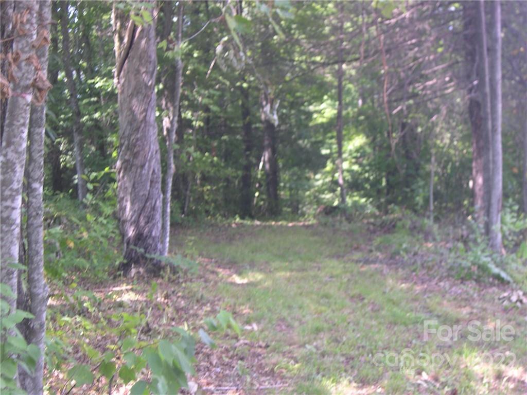 Property image 5 of Tbd Halltown Road in Six Springs Ridge, Spruce Pine, NC 28777