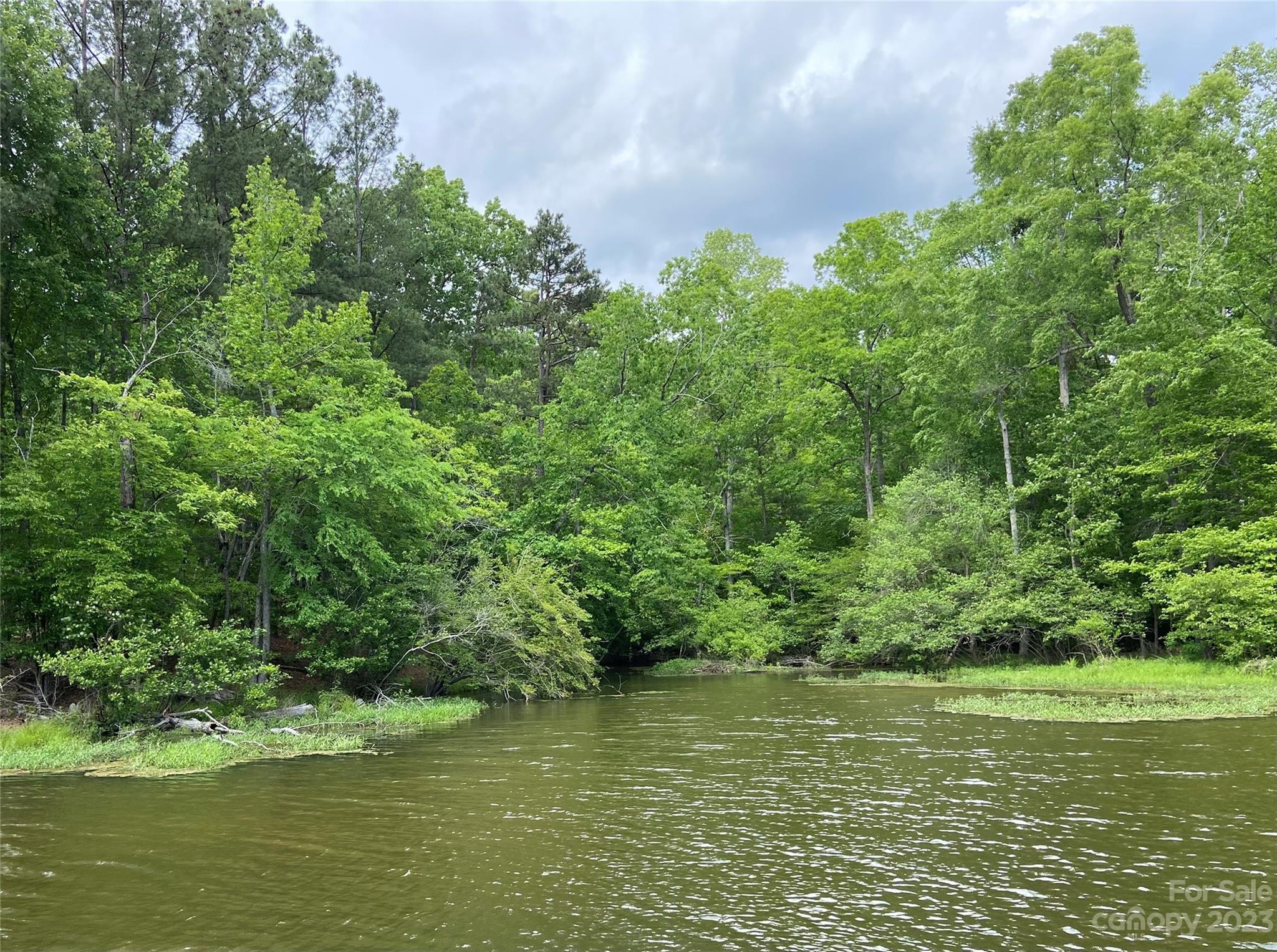 Property image 3 of 161 Water Oak Way in Swift Island Plantation, Mount Gilead, NC 27306