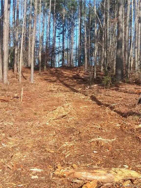 Property image 5 of Lot 47 Plantation Pointe Drive in Plantation Pointe, Granite Falls, NC 28630