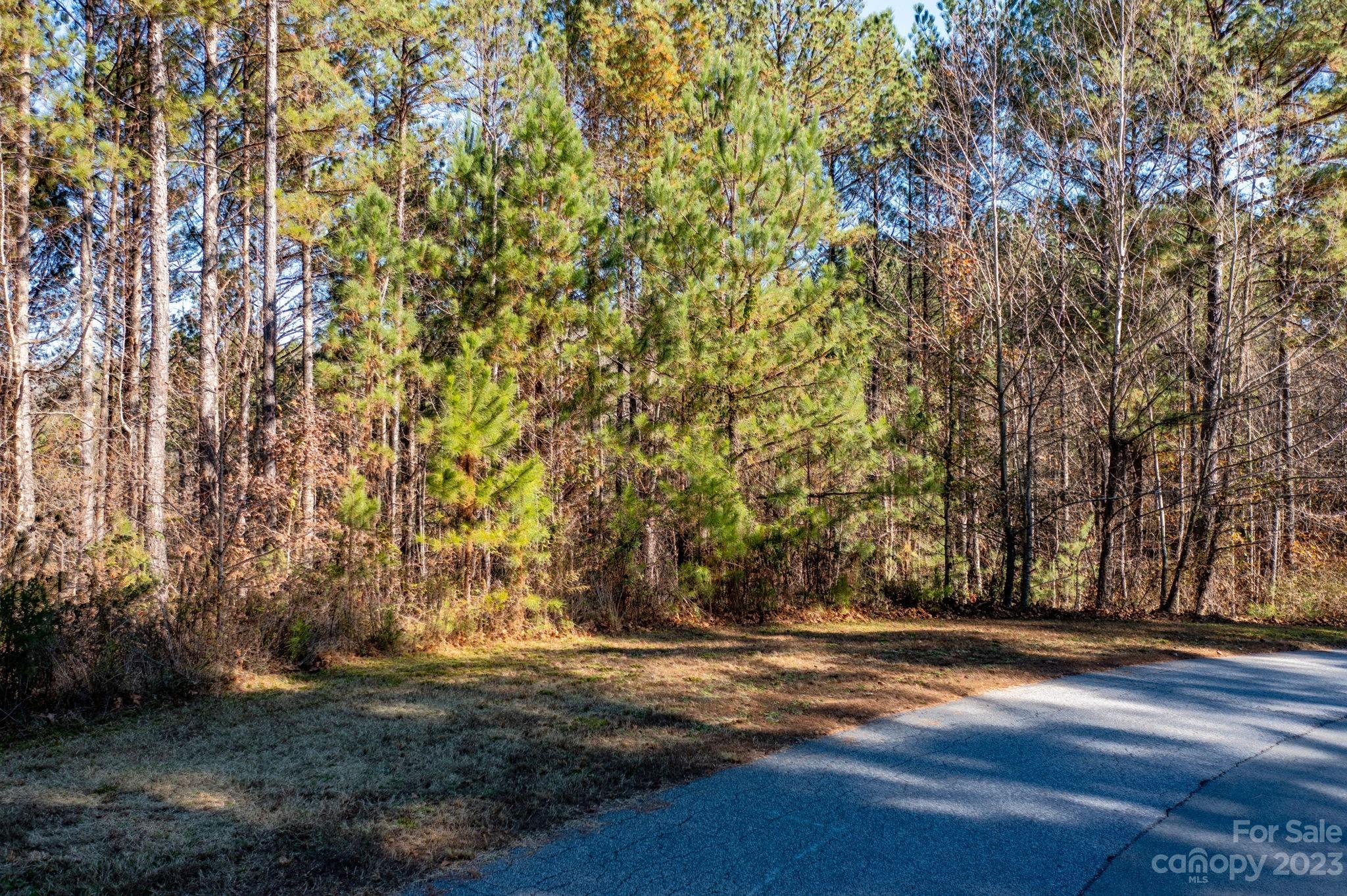 Property image 3 of 1282 Lake Vista Court in Lake Vista, Connelly Springs, NC 28612